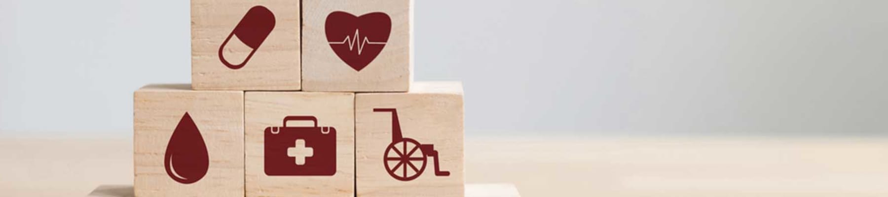 Partner living services at Age Well Centre for Life Enrichment